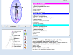 Aparat biorezonanta 17D NLS limba Romana